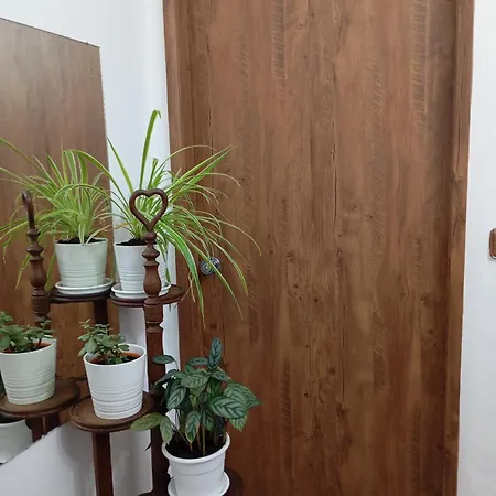 Family Shared House Porto